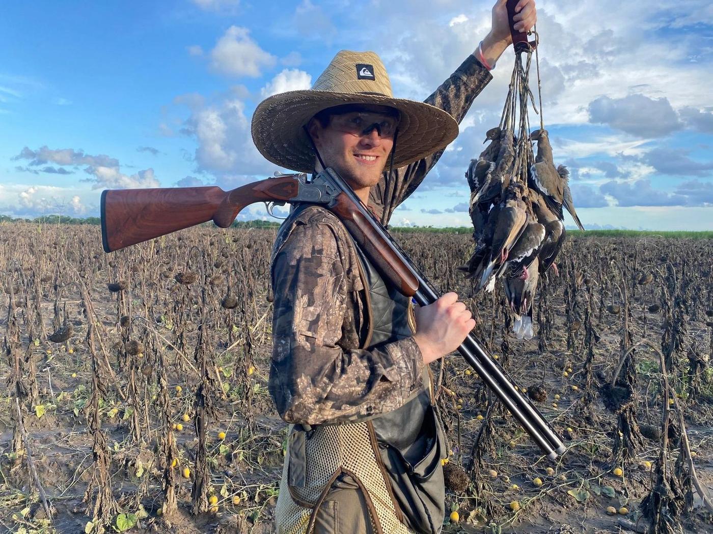 White-winged dove hunting in the fields near the lodge