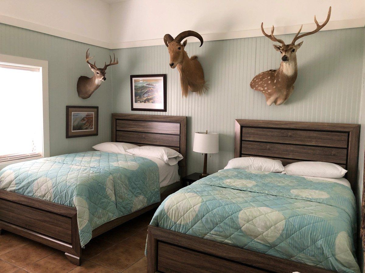Guest bedroom with two full beds