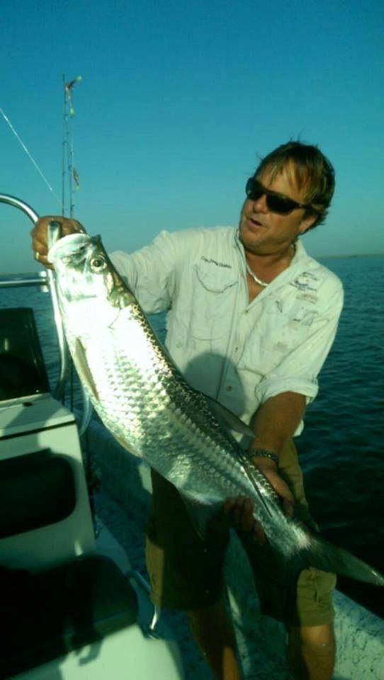 Tarpon brought to the boat before release