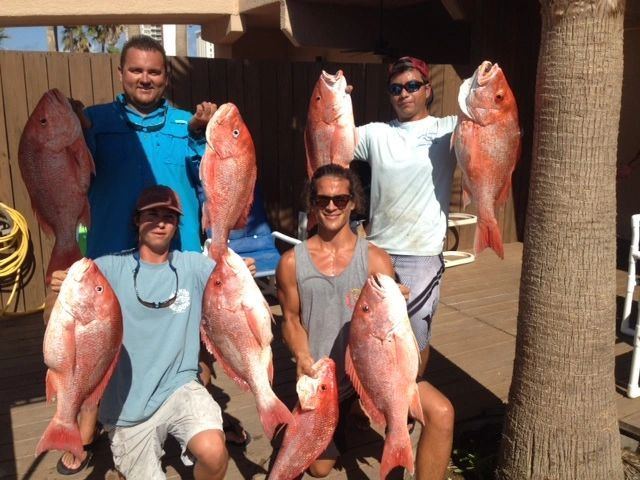 Crew with a haul of red snapper after an offshore trip